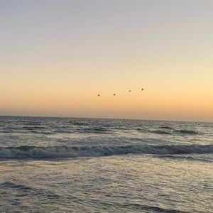 Meet your Posher, Aria